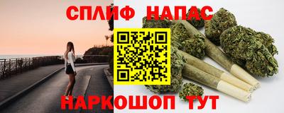 гидра Дубна