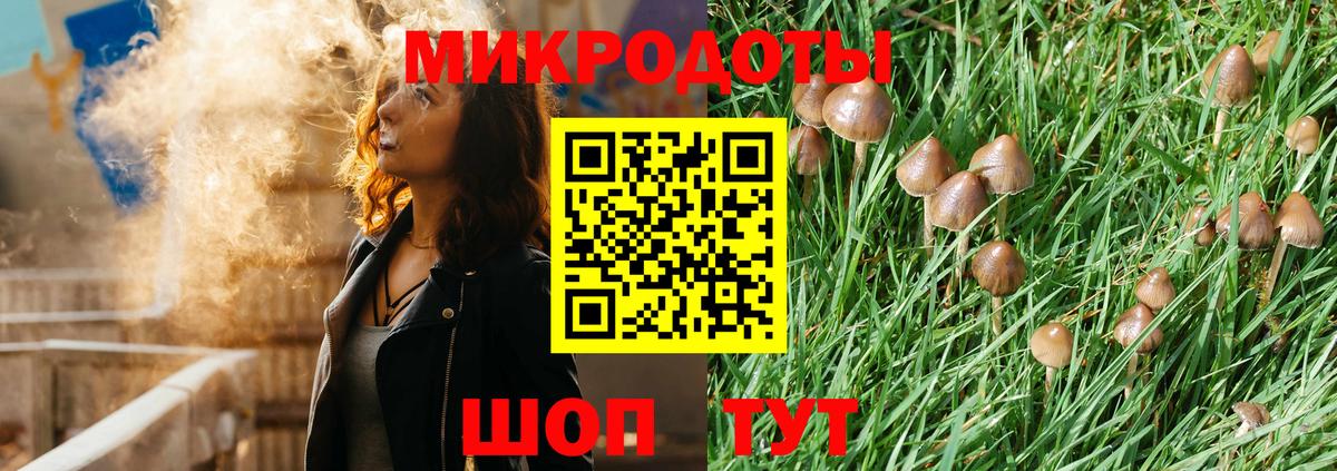 купить наркотик  Псилоцибиновые грибы Psilocybe  Миасс  Вход с VPN  Галлюциногенные грибы мицелий 